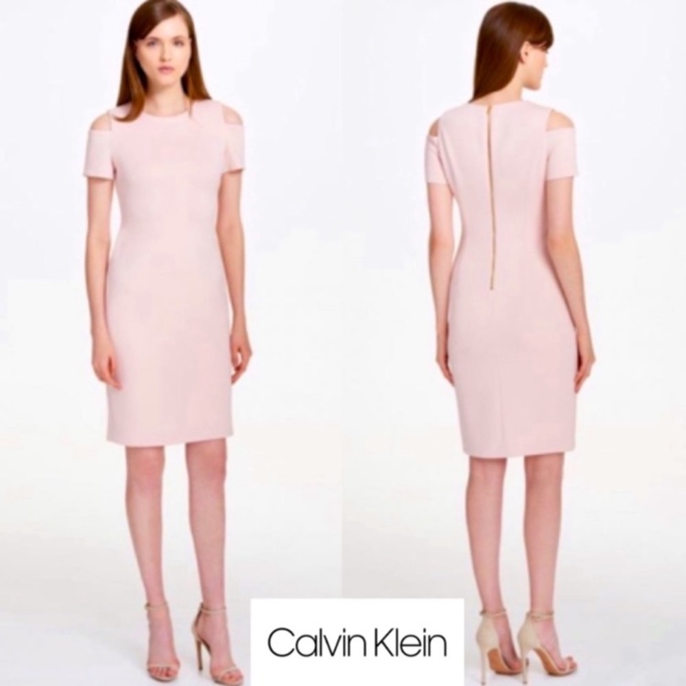 NWT Calvin Klein Blush Pink Dress 10